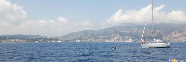 uscite giornaliere in barca a vela a Sanremo