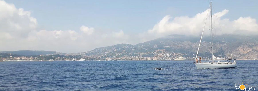 uscite giornaliere in barca a vela a Sanremo