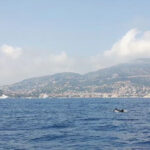 Tagessegelurlaub in Sanremo