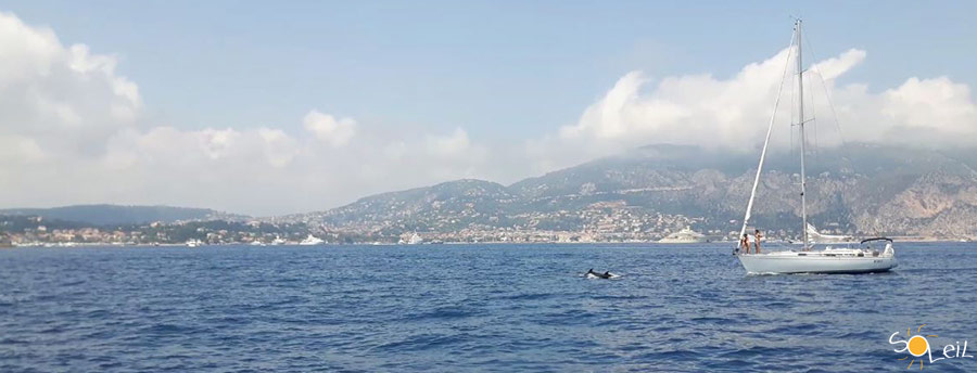 tagessegelurlaub in sanremo italien