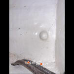 barca vela Jeanneau SunKiss 47 del 1989 usato prezzo for sale